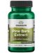 Pine Bark Extract, 50 mg, 100 капсули, Swanson - 1t