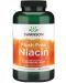 Flush Free Niacin, 500 mg, 240 капсули, Swanson - 1t
