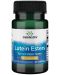 Lutein Esters, 20 mg, 60 меки капсули, Swanson - 1t