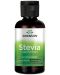 Stevia Liquid Extract, 59 ml, Swanson - 1t