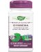 Gymnema, 500 mg, 60 капсули, Nature's Way - 1t