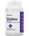 Diabex, 100 таблетки, Herbamedica - 1t