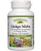 Ginkgo biloba, 60 mg, 120 капсули, Natural Factors - 1t