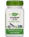 Hyssop, 450 mg, 100 капсули Nature's Way - 1t