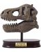 Изследователски комплект Buki Museum - Skull, T-Rex - 4t