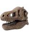 Изследователски комплект Buki Museum - Skull, T-Rex - 3t