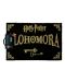 Изтривалка за врата Pyramid - Harry Potter  - Alohomora , 60 x 40 cm - 1t
