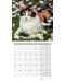 Календар Ackermann - Cats, 2024 - 4t