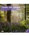 Календар Ackermann - Mystic Forest, 2024 - 1t