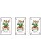 Карти за игра Piatnik - модел Bridge-Poker-Whist, цвят кафяви - 2t