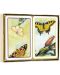 Карти за игра Piatnik - Tulips and Butterflies (2 тестета) - 2t