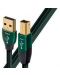 Кабел Pro-Ject - Connect it D, USB A/USB-B, 0.75 m, зелен - 1t