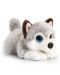 Плюшено легнало Keel Toys - Куче Хъски, 25 cm - 1t