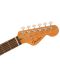 Акустична китара Fender - Highway Series Dreadnought RW, Mahogany - 4t