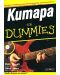 Китара for Dummies - 1t