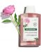 Klorane Peony Успокояващ шампоан, 200 ml - 4t