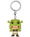 Ключодържател Funko Pocket POP! Movies: Shrek - Shrek (Special Edition) - 1t