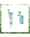 Klorane Mint Комплект - Почистващ крем и Стик-маска, 40 ml + 25 g (Лимитирано) - 2t