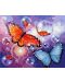 Комплект за рисуване по номера Foska - Пеперуди - 1t