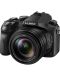 Компактен фотоапарат Panasonic - Lumix FZ2000, 20.1MPx, Black - 1t