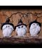 Комплект статуетки Nemesis Now Adult: Humor - Three Wise Feathered Familiars, 9 cm - 5t