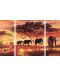 Комплект за рисуване по номера Schipper - Слоновете на Африка - 2t