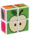 Комплект магнитни кубчета Geomag - Magicube, Плодове, 7 части - 3t