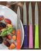 Комплект кухненски ножове Opinel - Bon Appetit pop 125, 4 броя, многоцветни - 7t