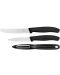 Комплект от 2 ножа и белачка Victorinox - Swiss Classic, черни - 2t