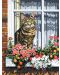 Комплект за рисуване върху платно Royal - Котка на прозорец, 23 х 30 cm - 1t