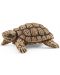 Комплект фигурки Schleich Wild Life - Дом на костенурки - 4t