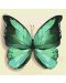 Комплект за рисуване по номера Ideyka - Зелена пеперуда, 25 х 25 cm - 1t
