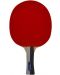 Комплект хилки за тенис на маса VICTOR - Set Basic-13 - 3t