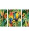 Комплект за рисуване по номера Schipper - Папагали в дъждовната гора - 2t