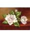 Комплект за рисуване с акрилни бои Royal Masterpiece - Магнолии,  23 х 30 cm - 1t