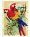 Комплект за рисуване с акрилни бои Royal - Папагали, 22 х 30 cm - 1t