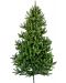 Коледна елха Alpina - Див смърч, 180 cm, Ø 55 cm, зелена - 1t