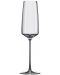 Комплект чаши за шампанско Rona - Vista 6839, 6 броя x 250 ml - 1t