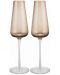 Комплект чаши за шампанско Blomus - Belo 2бр, опушено кафяво - 1t