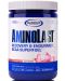 Aminolast, ягода и киви, 420 g, Gaspari Nutrition - 1t