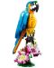 Конструктор  3 в 1 LEGO Creator - Екзотичен папагал (31136) - 3t