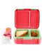 Кутия за храна Skip Hop Spark Style - Bento, Strawberry - 4t