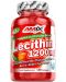 Lecithin, 1200 mg, 100 капсули, Amix - 1t