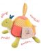Мека играчка за активна гимнастика Moulin Roty Les Papoums – костенурка, 24 cm - 1t