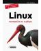 Linux - настройка на сървъри - 1t