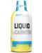 Liquid L-Carnitine + Chromium, манго, 450 ml, Everbuild - 1t
