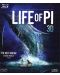 Животът на Пи 3D - Специално издание в 2 диска (Blu-Ray) - 1t