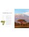 Lonely Planet: The Tree Atlas - 7t