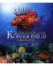 Невероятният Коралов риф 3D: Ловци и плячка (Blu-Ray) - 1t