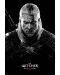 Макси плакат GB eye Games: The Witcher - Toxicity Poisoning - 1t